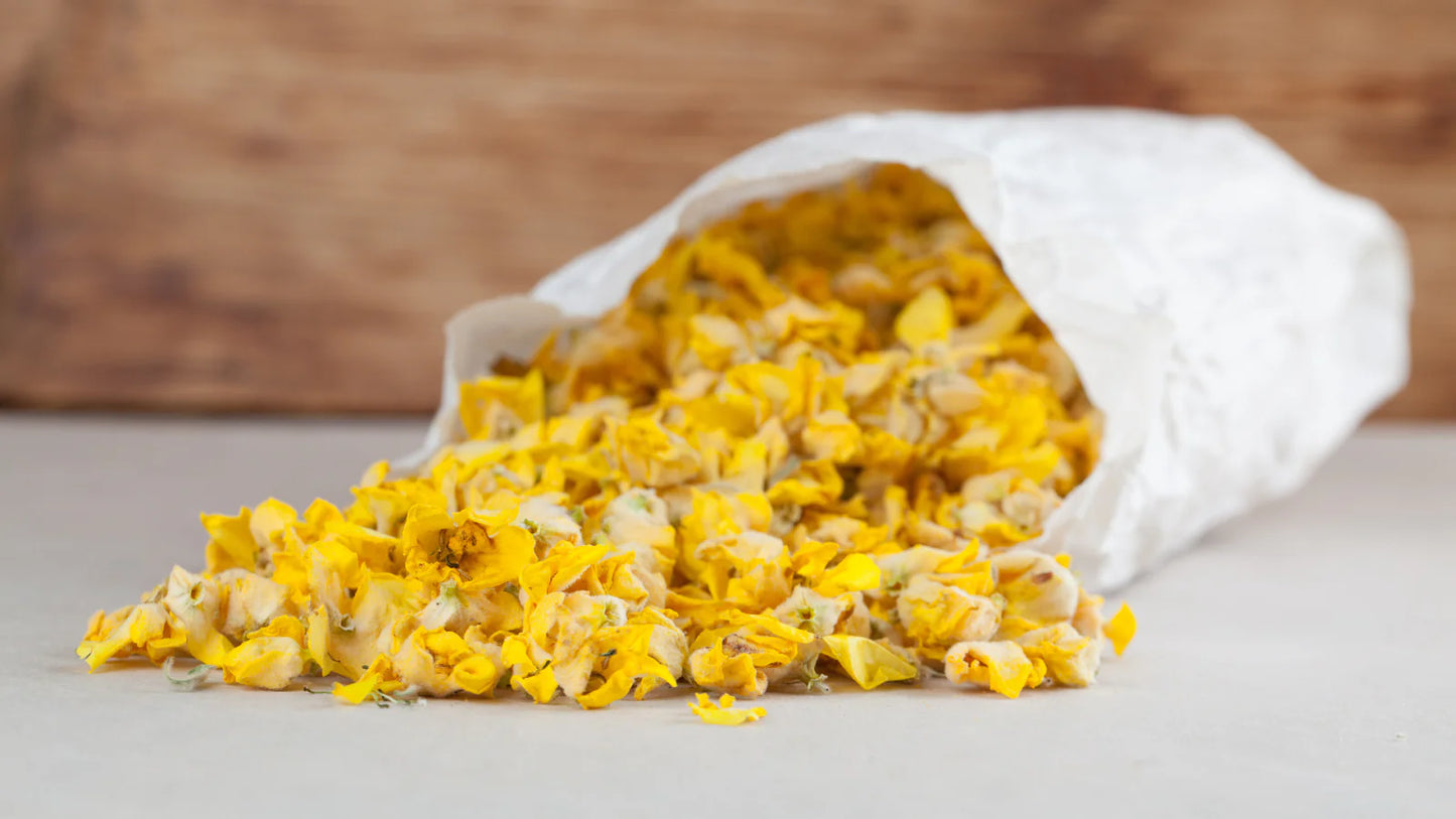 Mullein Tea - Herbal Tea Bags for Respiratory & Wellness Support